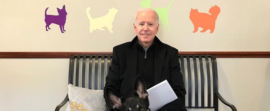 Joe Biden Adopts Rescue Dog Named Major