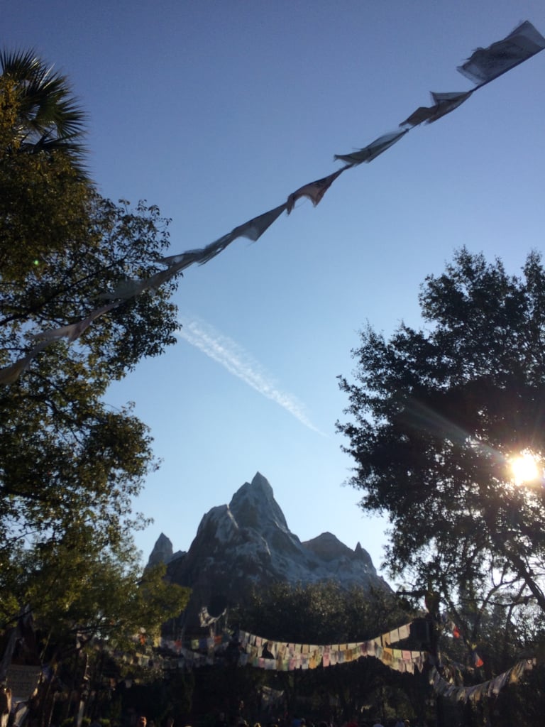 The Yeti Inside Expedition Everest Is Actually Structural Support