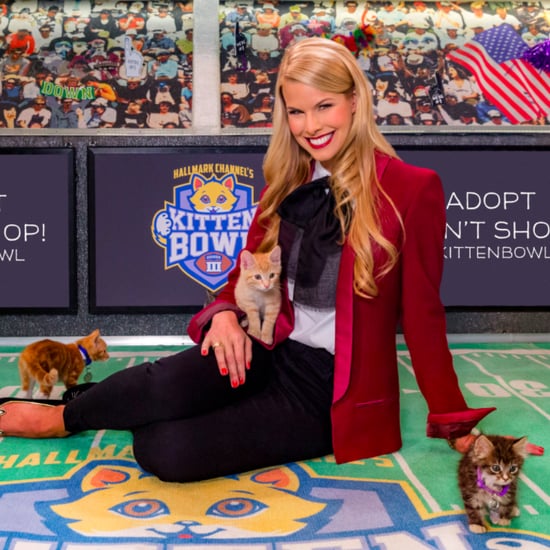 Kitten Bowl 2016
