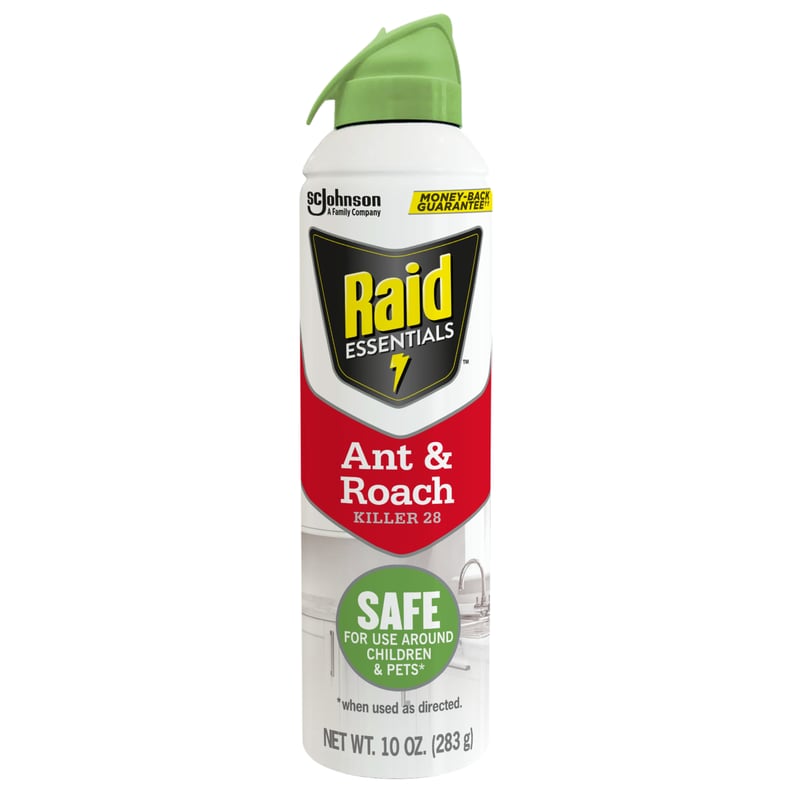 Raid Essentials™ Ant & Roach Killer 28, 10 oz. Aerosol