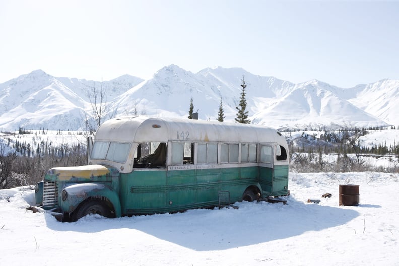 Into the Wild: Denali, Alaska