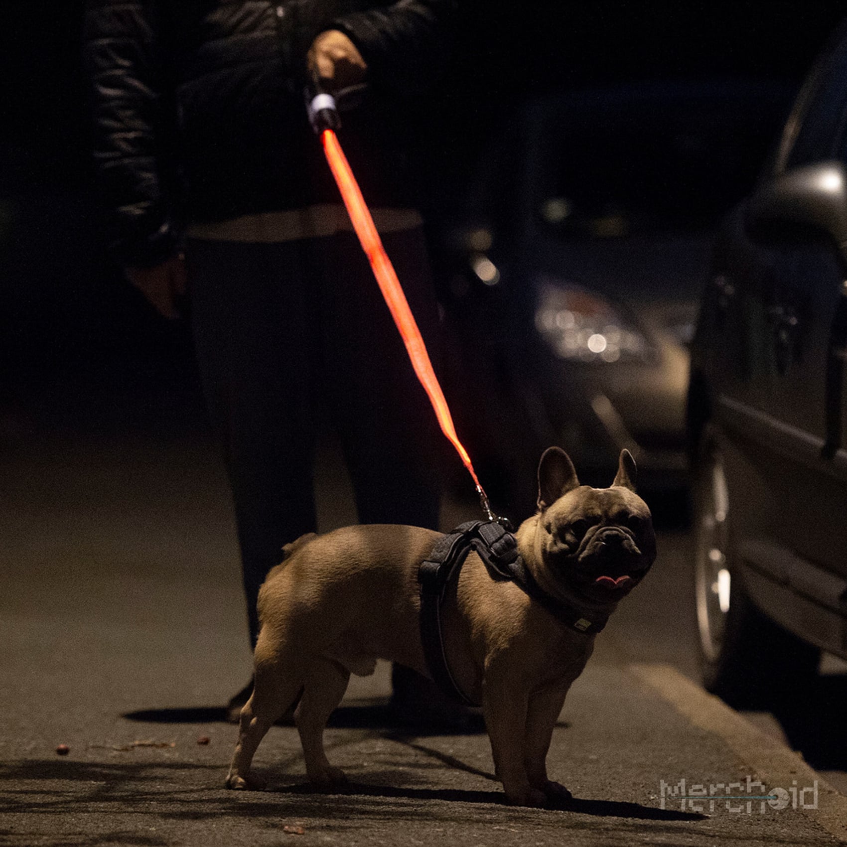 Lightsaber hotsell dog lead