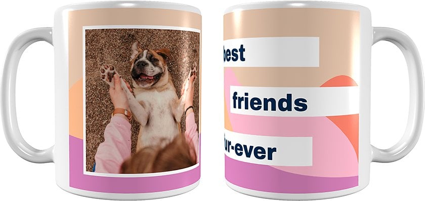 For Pet Parents: Frisco Best Friends Fur-Ever Mug