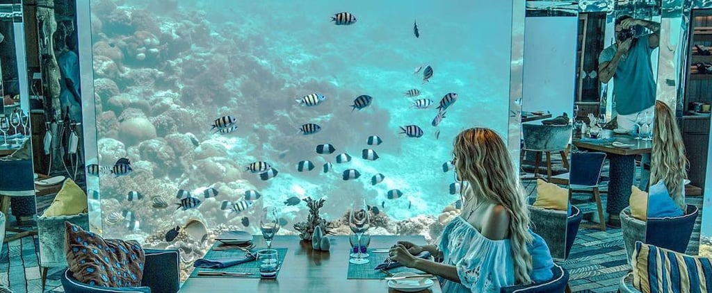 Sea Underwater Restaurant at Anantara Kihavah in Maldives