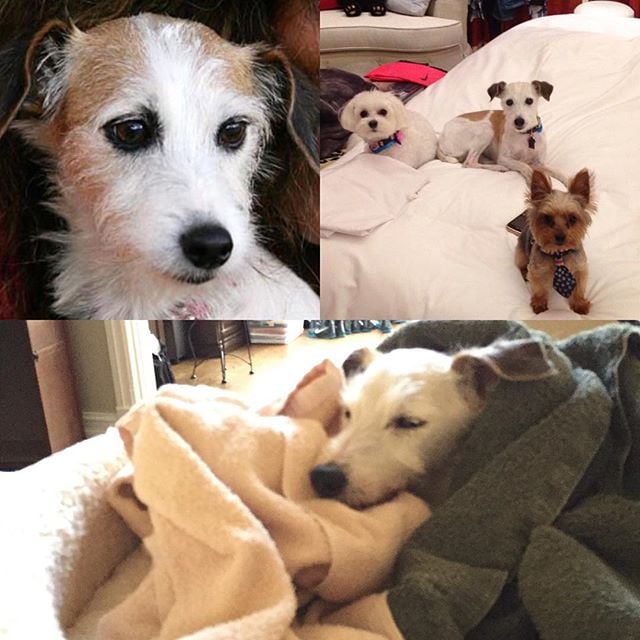 "Jackie- Lauralei, Chip, and Mommy miss you so much. We will never forget u. Thank you for the kindness and joy you brought us."