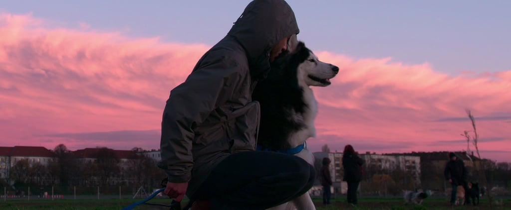 Netflix Released a Trailer For Its Documentary About Dogs Around the World, and I'm So Emotional
