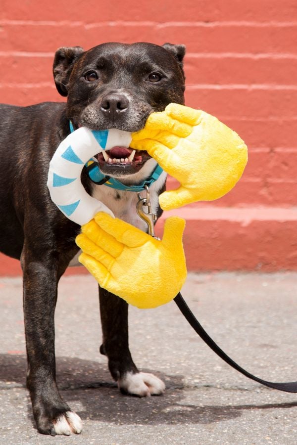 Bark Hallechewjah! Emoji Hands Dog Toy