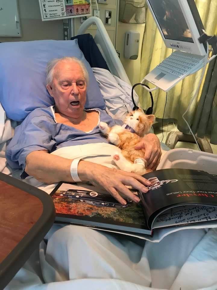 Robot Cat Brings Happiness to Man in Hospice