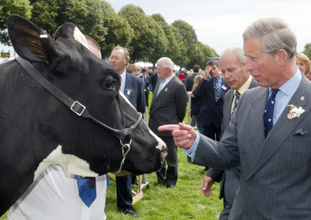 Photos of Prince Charles With Animals