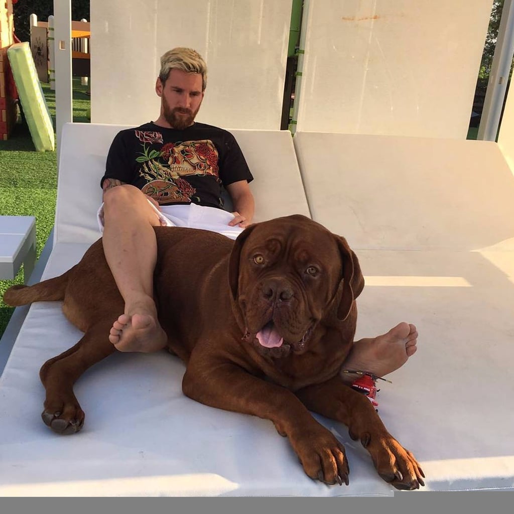 Lionel Messi's Dog Pictures | POPSUGAR Latina