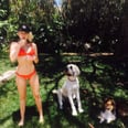 Miley Cyrus's Red Bikini is So Striking, Even Her Pup's Looking