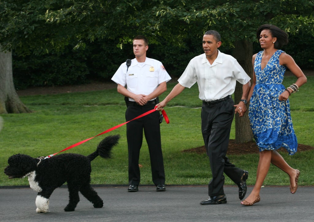 Who needs sneakers? Bo had both Barack and Michelle trailing after him in their work clothes in 2010.
