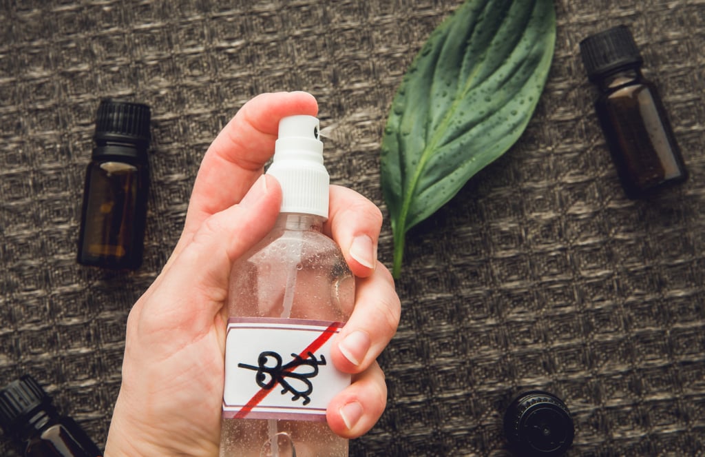 Easy Homemade Bug Spray