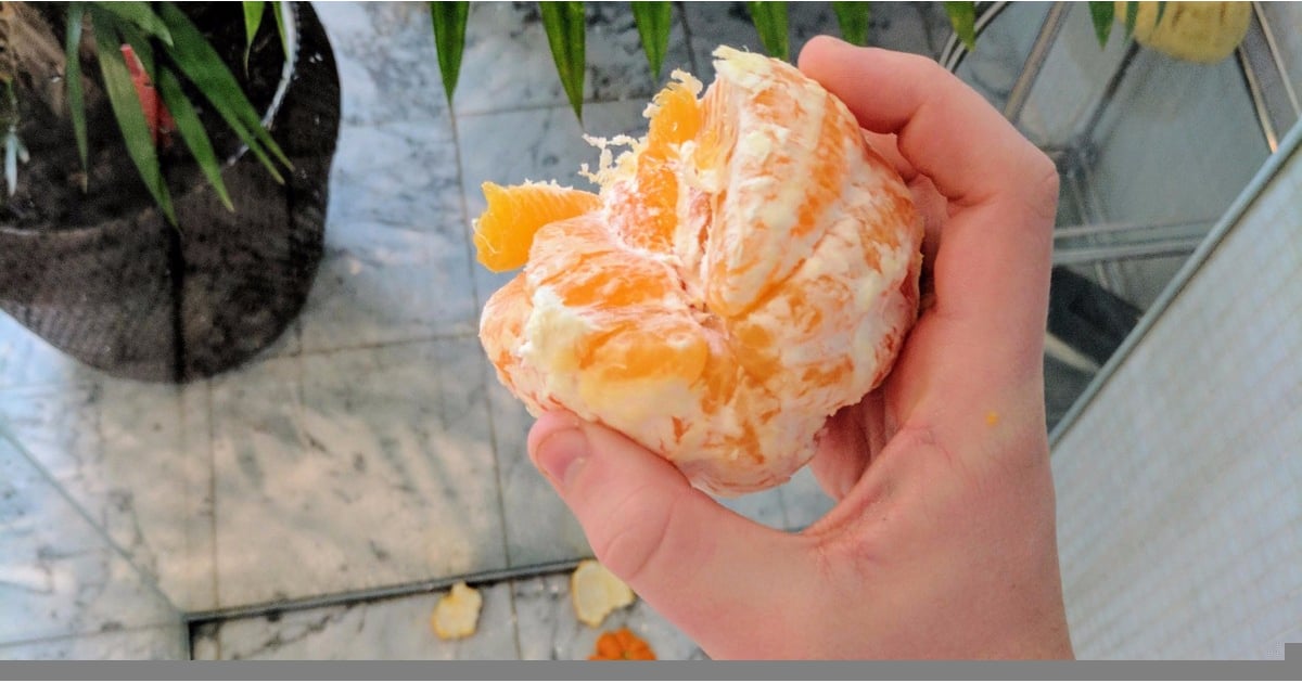 What Is the Shower Orange Challenge? POPSUGAR Tech