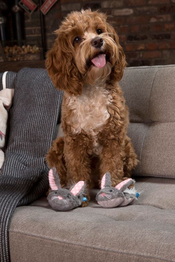 Bark Itty & Bitty the Slippers Dog Toy