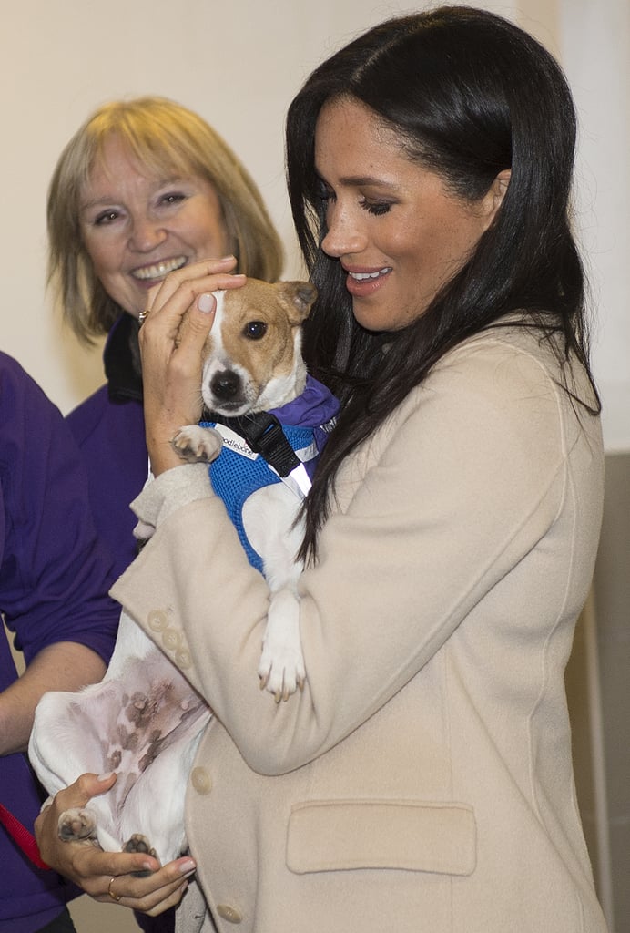 Meghan cuddled up to a dog named Minnie during her visit to the animal welfare charity Mayhew in January 2019.