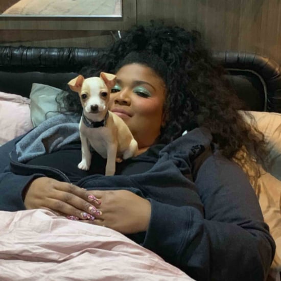 Lizzo's Crew Member Adopts a Rescue Puppy While on Tour