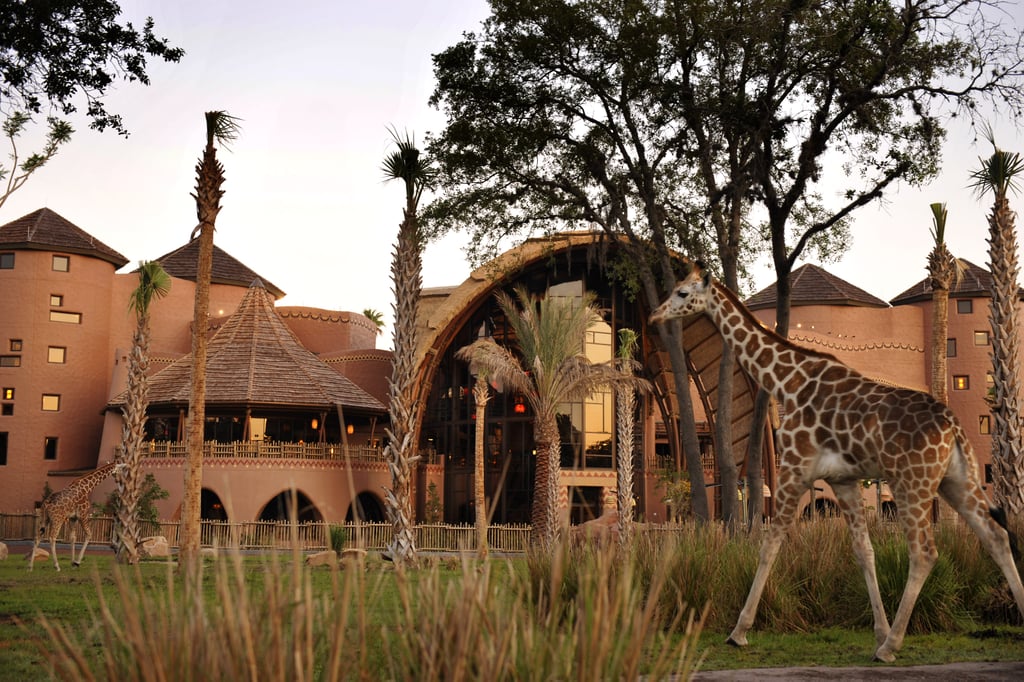 Taste the Flavors of Africa on a Free Food Tour