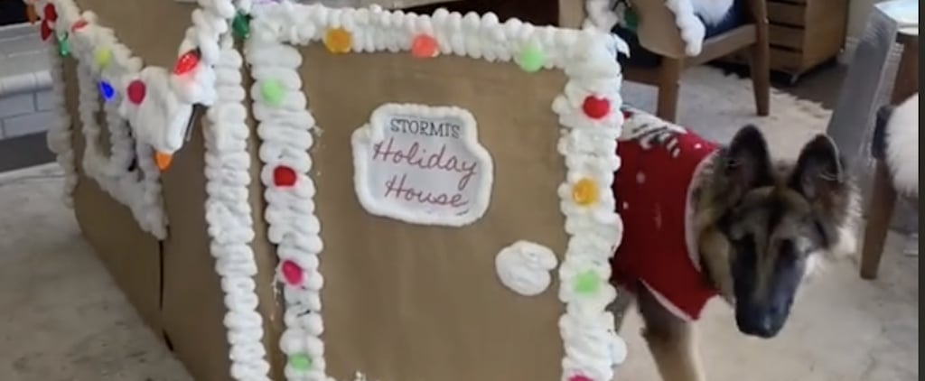 How to Make a DIY Gingerbread Dog House Using a Dog Crate