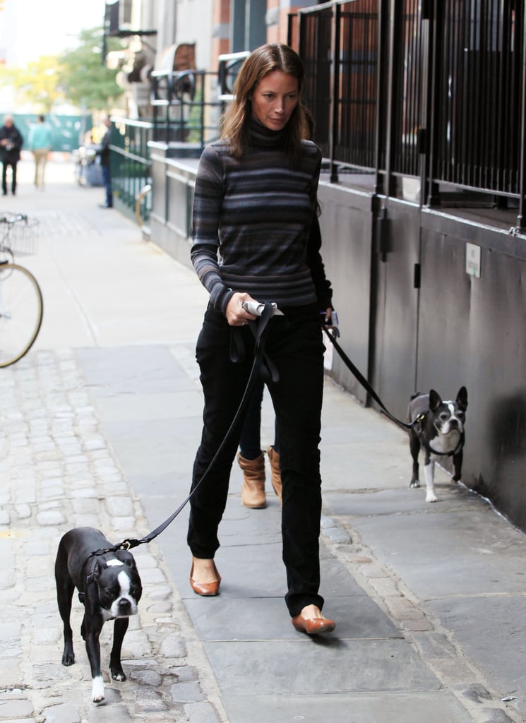 Christy Turlington has double the cuteness on her hands with Boston terriers Fitzy and Micky.