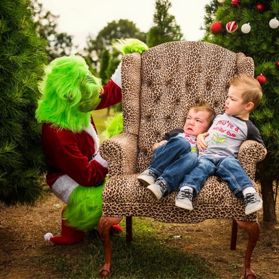Photographer Stages Grinch-Themed Photo Shoot