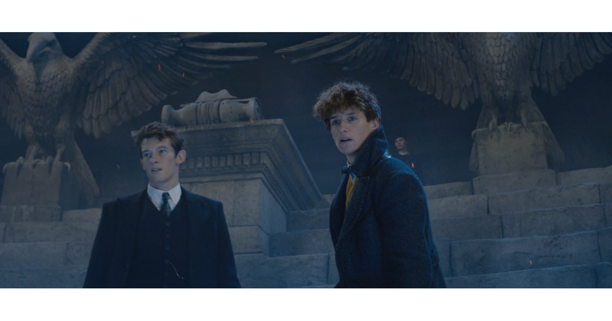 The Casting For Newt Scamander's Brother Is Spot On Fantastic Beasts