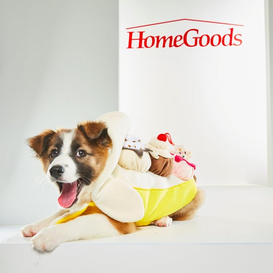 Pet Halloween Costumes From HomeGoods