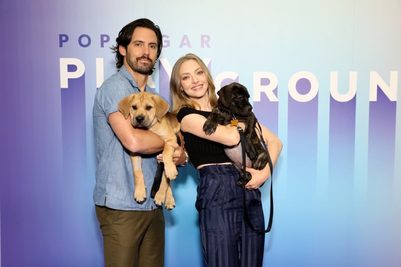 Milo Ventimiglia and Amanda Seyfried