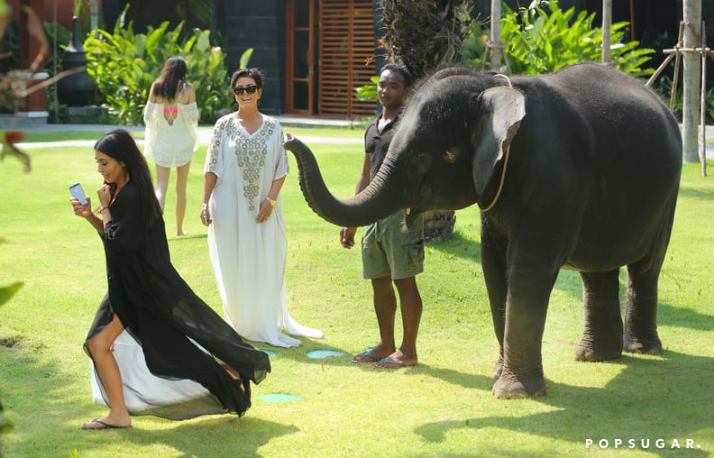 Kim ran away, Kris cracked up, and the elephant and his trainer remained unfazed.