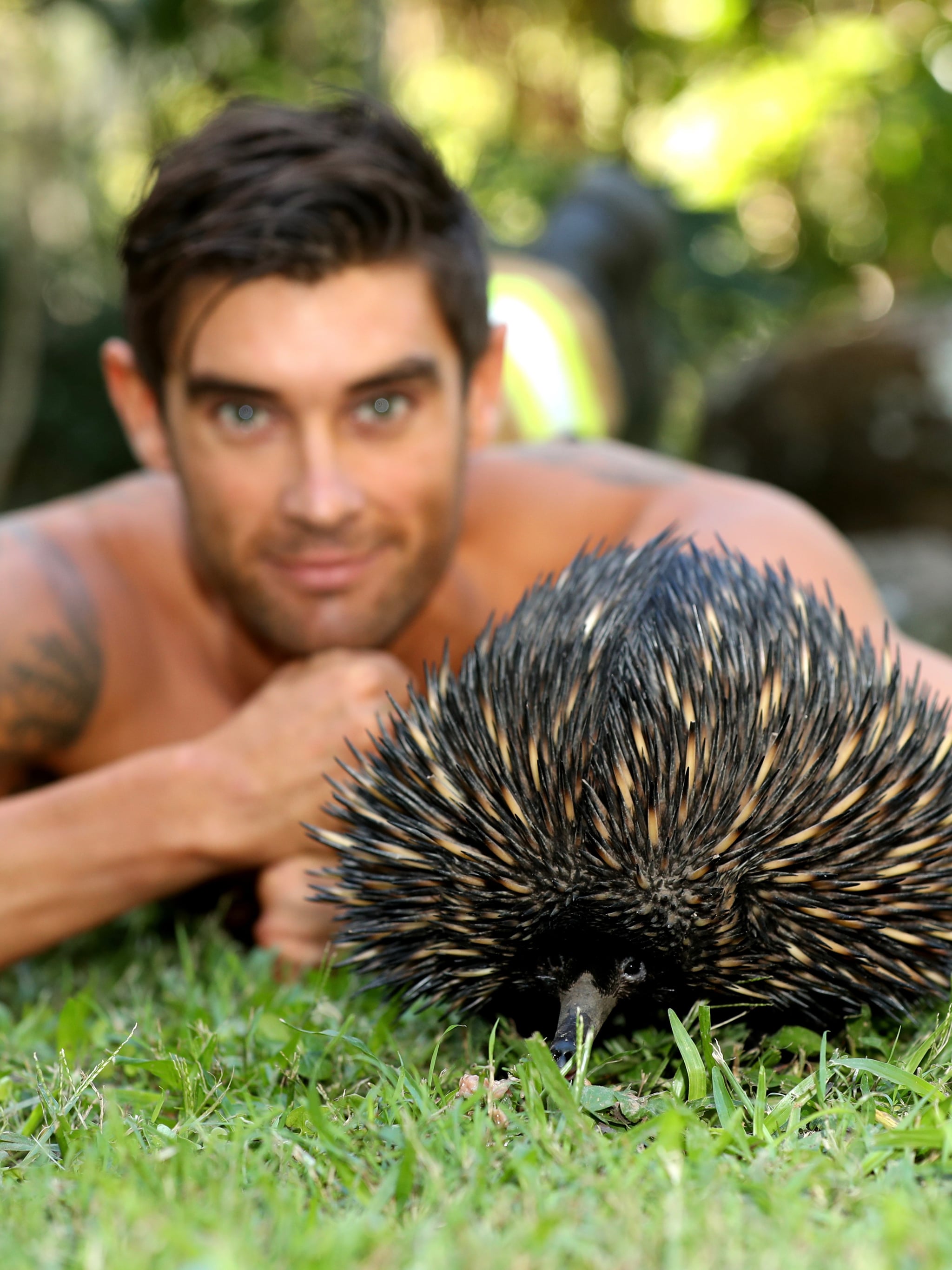 Photos Of Shirtless Australian Firefighters Baby Animals