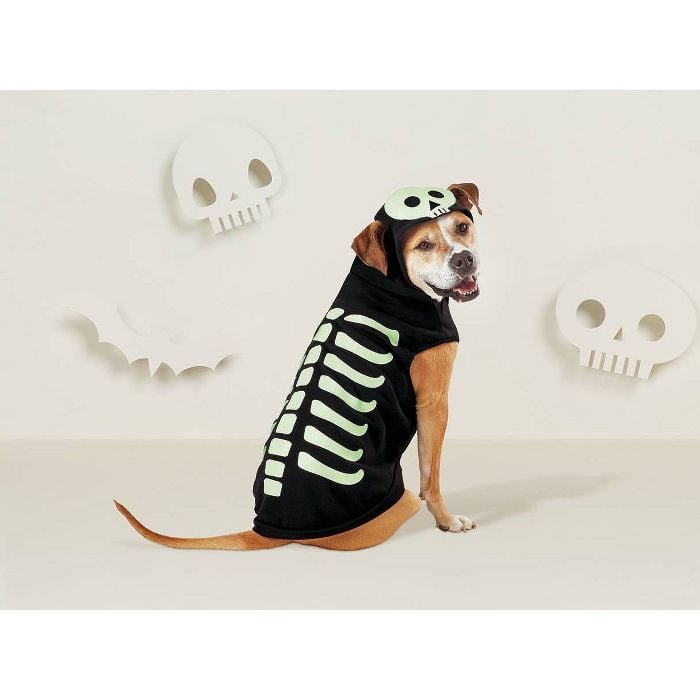Target 2025 dog jacket