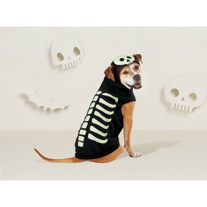 A Spooky Find: Hyde & EEK! Boutique Skeleton Dog and Cat Hoodie