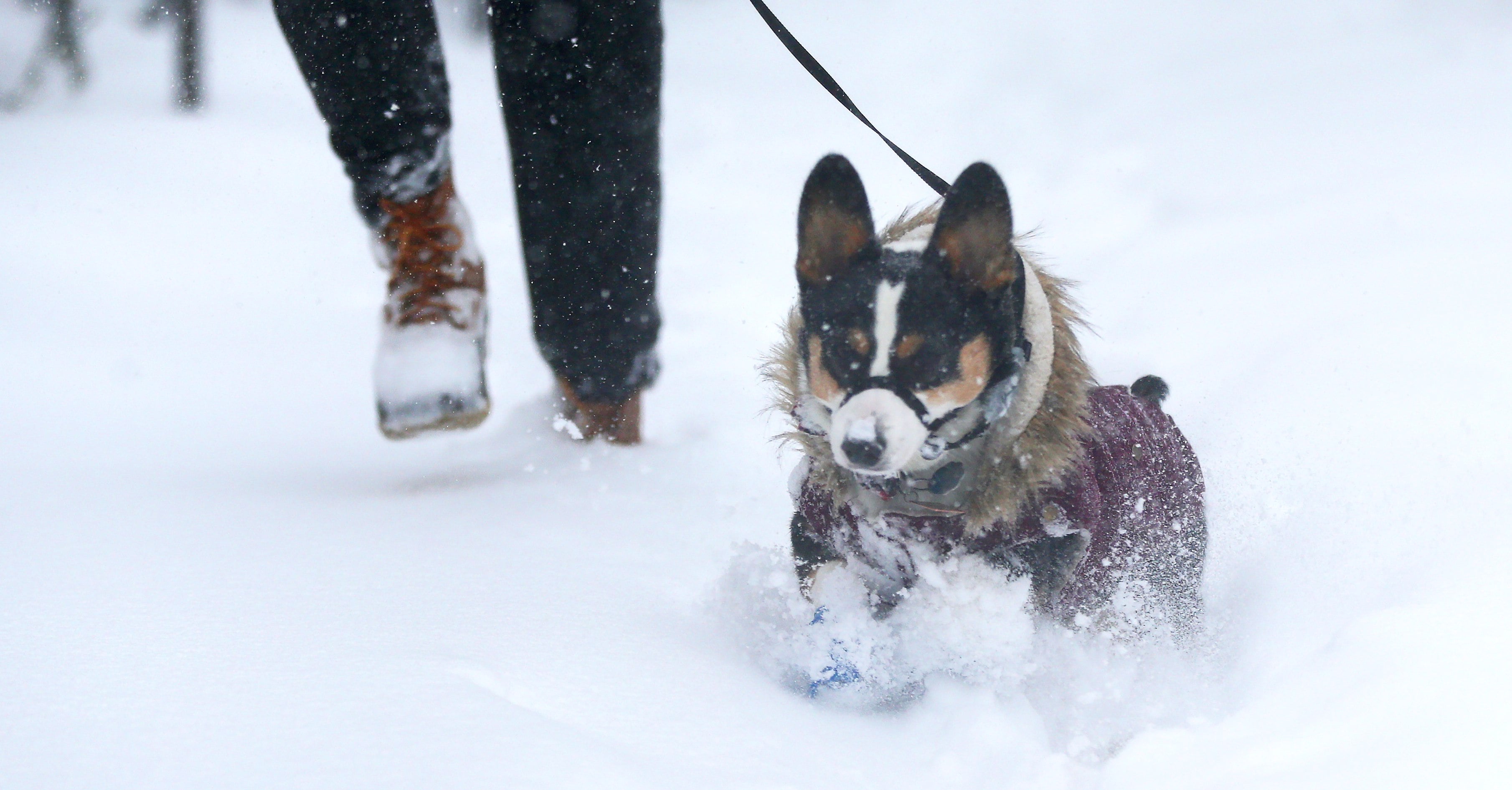 Snow-car GIFs - Find & Share on GIPHY