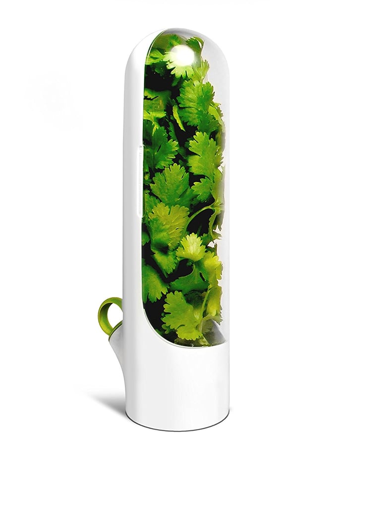 Best Kitchen Gadget For Fresh Herbs: Herb Saver Best Keeper