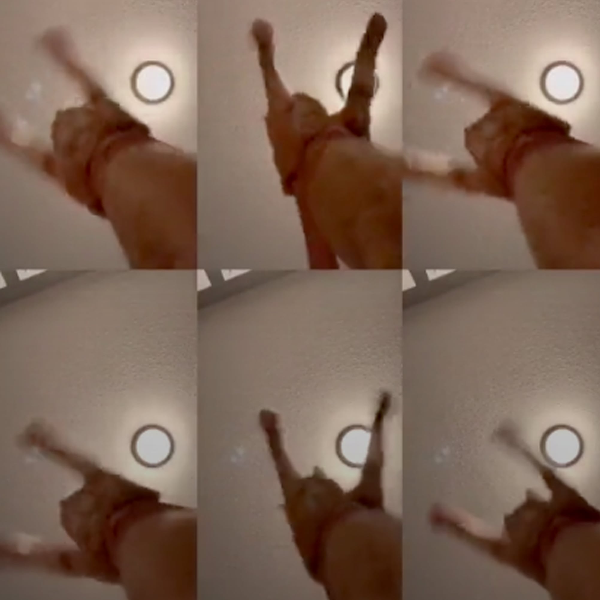 Viral Mr Sandman Cat Video On Tik Tok Popsugar Pets
