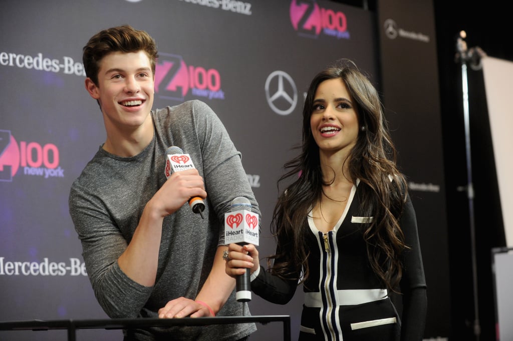 Camila Cabello and Shawn Mendes's Cutest Pictures