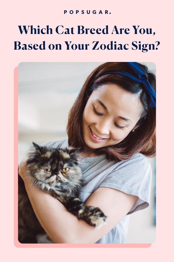 Which Cat Breed Are You By Zodiac Sign