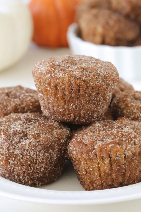 Gluten-Free Pumpkin Doughnut Holes