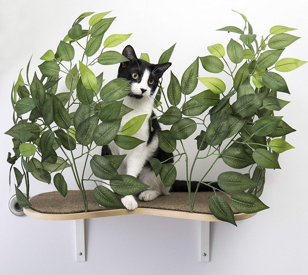 On2Pets Cat Furniture Canopy Shelves