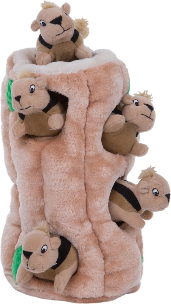 For the Squirrel-Lover: Outward Hound Hide A Squirrel Squeaky Puzzle Plush Dog Toy