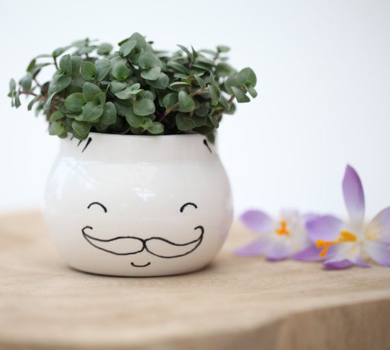 Moustache Face Planter