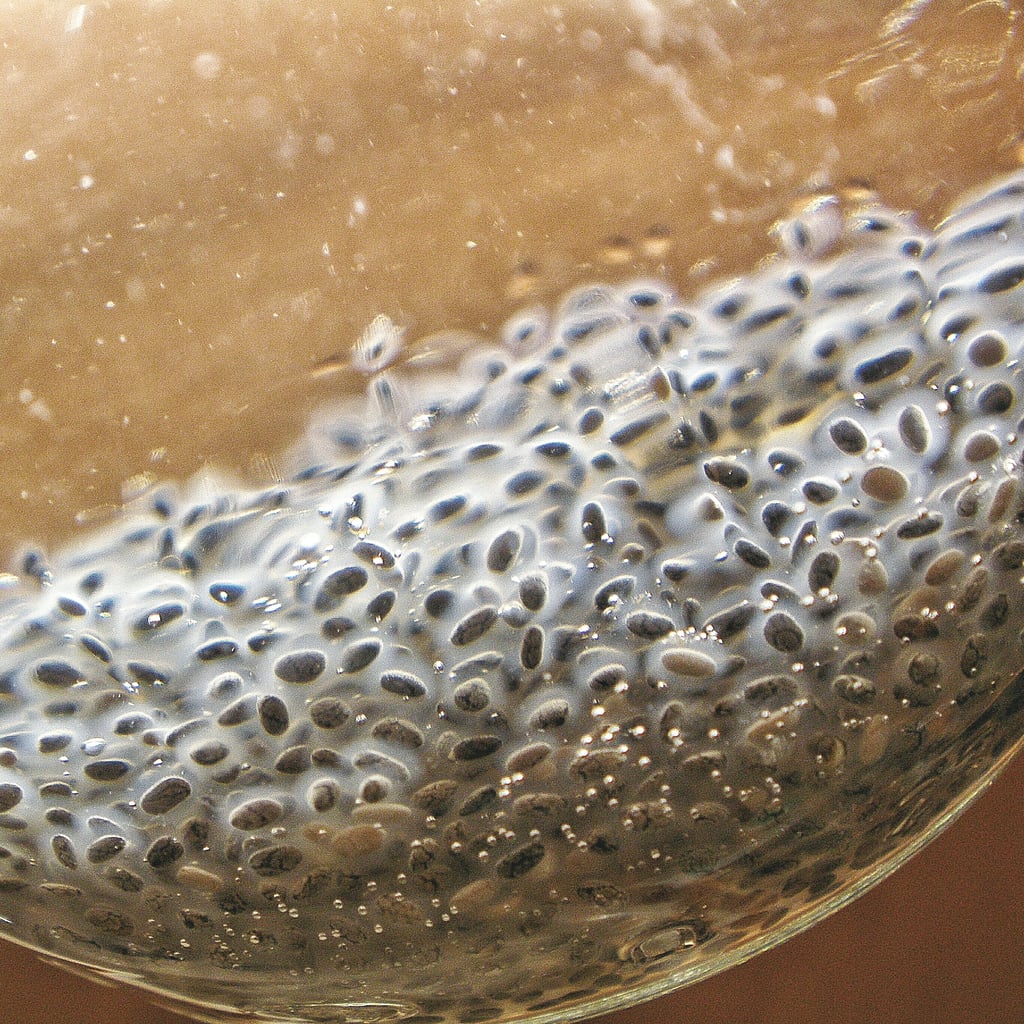 Is Chia Seed Water, TikTok's 