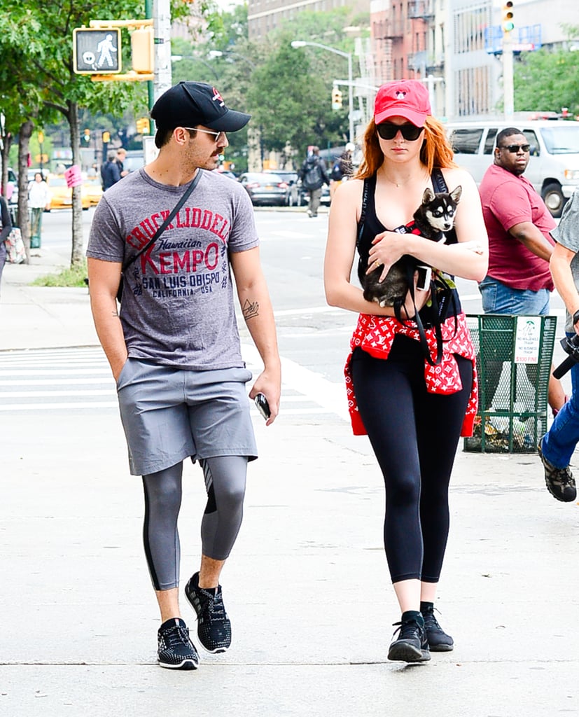 Sophie Turner and Joe Jonas Out With Their Dog