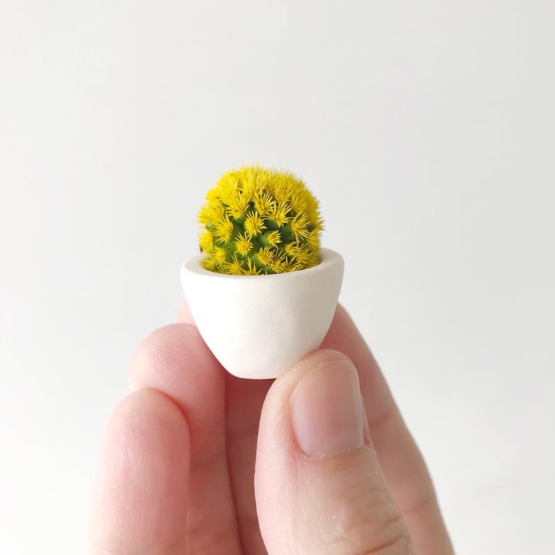 Florinda Mini Cactus and Mini Planter