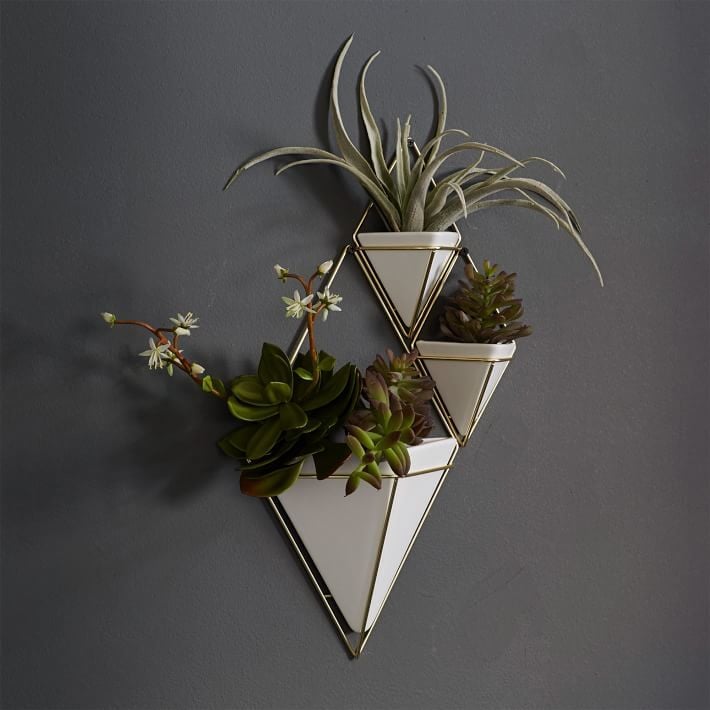 Triangular Wall Planters (30) The Best Hanging Planters POPSUGAR