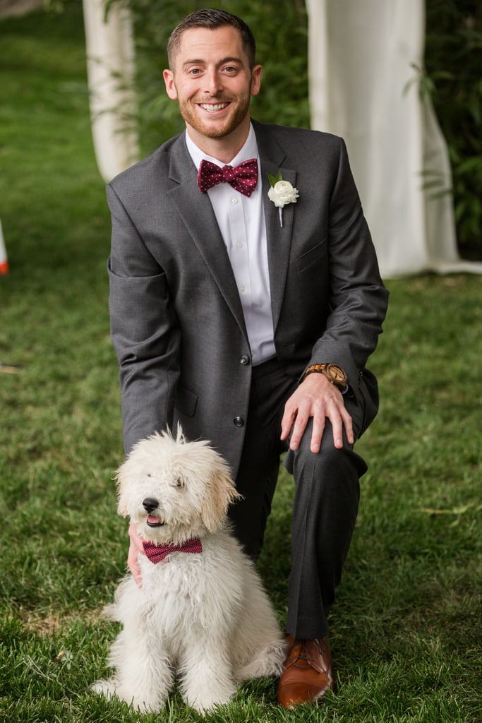 Dogs in Weddings