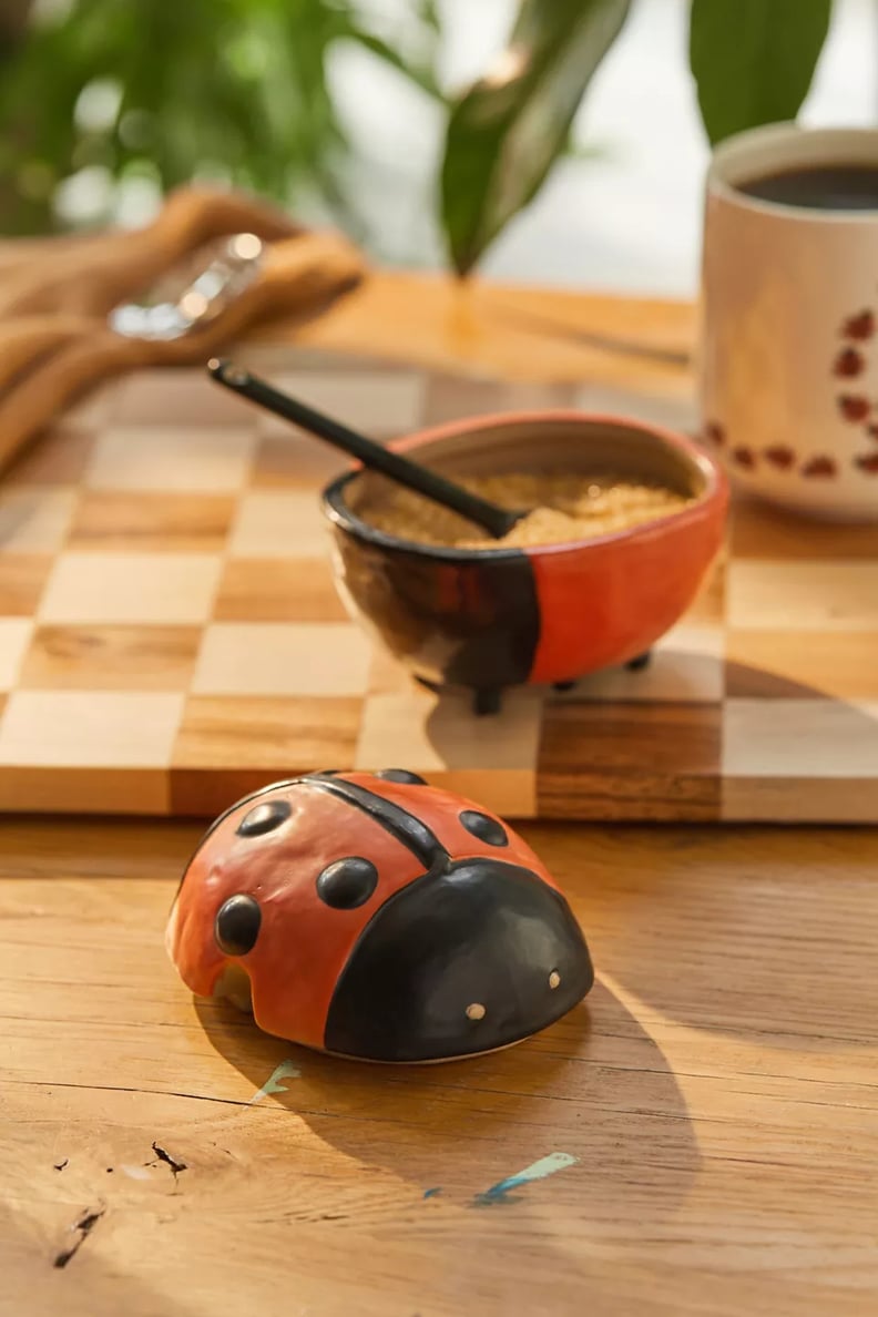 Urban Outfitters Ladybug Sugar Dish