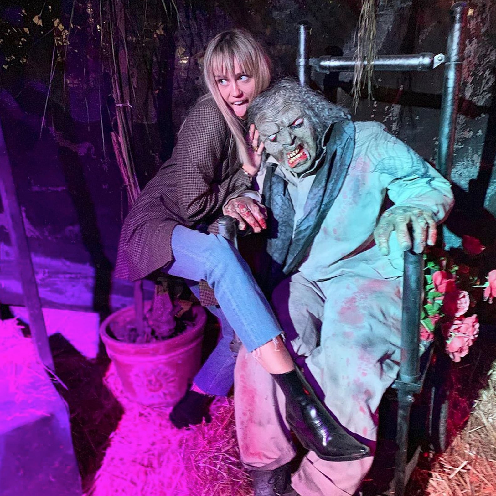 Miley Cyruss Funny Photos From Her Pumpkin Patch Outing Popsugar Celebrity 9879