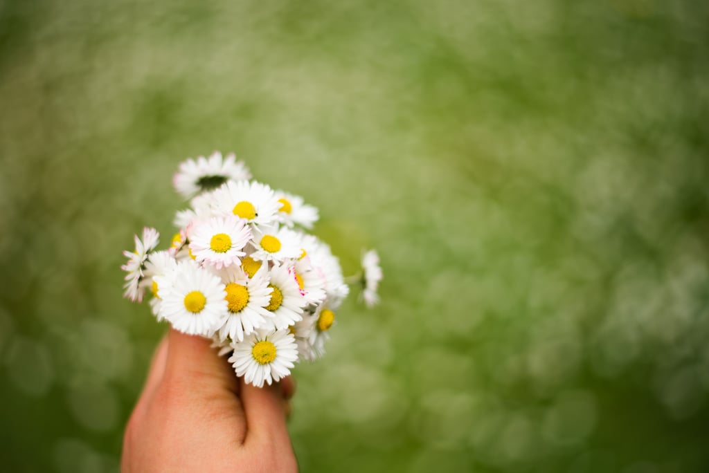 Frolic in a field of daisies. Frolic in a field of daisies.
