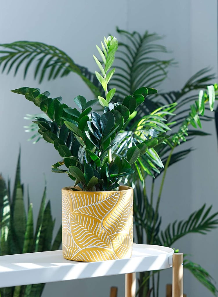 For a Pop of Color: Potey Vintage Yellow Cement Planter with Leaf Embossment